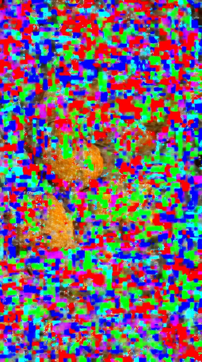 A pile of golden brown, crispy gluten-free tater tots on a white plate with a side of ketchup.