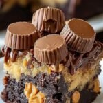A decadent Reese's Earthquake Cake in a baking pan with gooey peanut butter swirls and chocolate chips